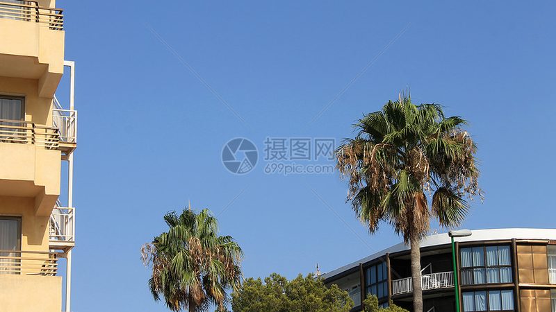 家庭酒店商务套房与家庭房：一房多功能的智慧之选**